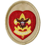 Life Scout Patch